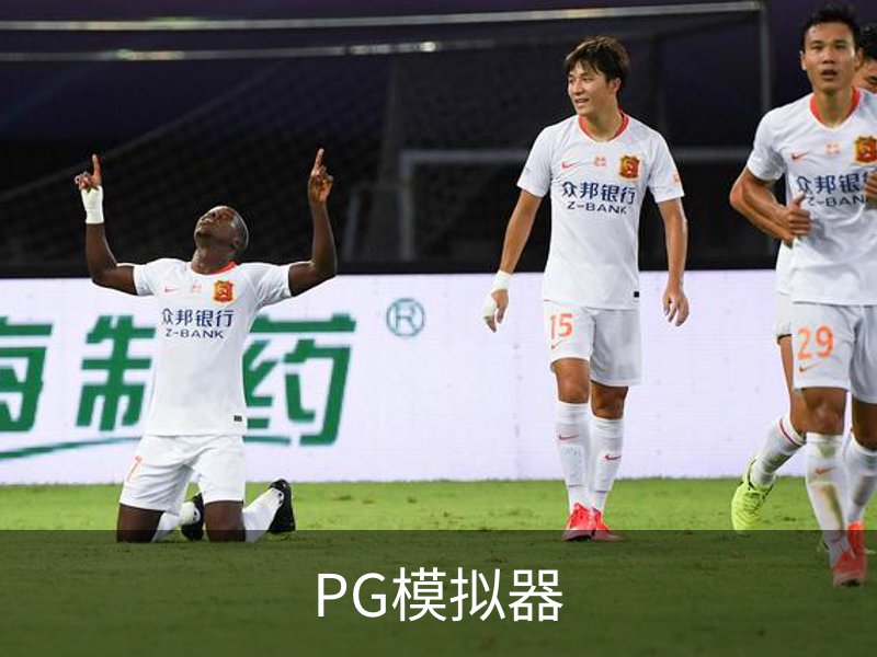 PG模拟器概况